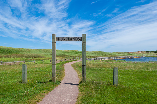 Cavendish Dunelands – a short trail between Cavendish Beach and Oceanview Lookout. It crosses a grassy field to a floating boardwalk, near sand dunes. Prince Edward Island National Park, Canada.