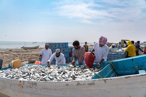 Middle East, Arabian Peninsula, Oman, Muscat, Muttrah. Oct. 21, 2019. Vendor selling fish at the souk in Muttrah.