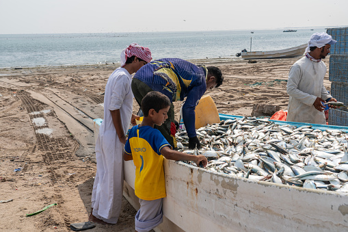 Sur, Oman - 27 October 2023: Group of Oman fisherman sorting fish catch in a boat on sandy beach.