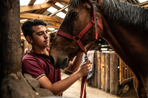 Teenager boy petting horse on a stable