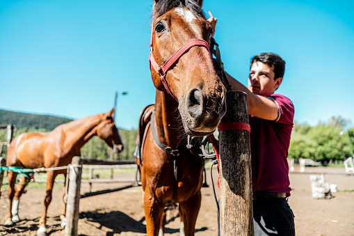 Teenager boy putting the saddle on horse on a ranch