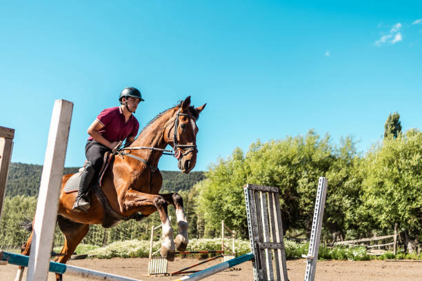 Jockey on horse jumping over hurdle