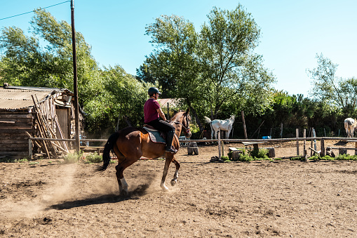 Teenager boy horseback riding on a stable