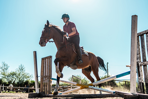 Jockey on horse jumping over hurdle