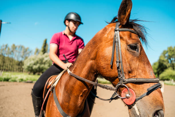 Equestrian horse and trainer riding at ranch