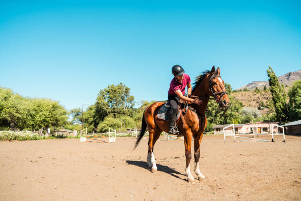 Young Woman Riding Horse In Countryside