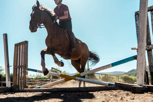 Jockey on horse jumping over hurdle