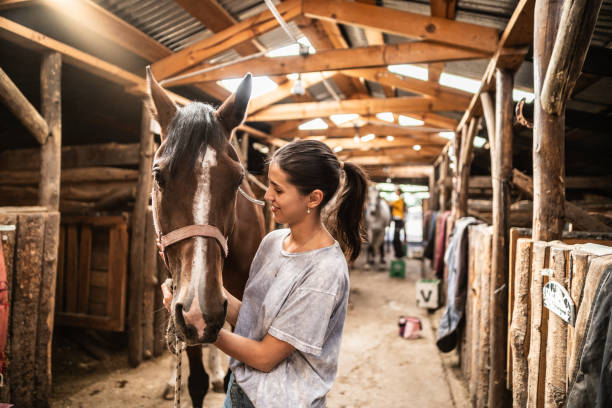 istock Young woman petting horse on a stable 2073945711