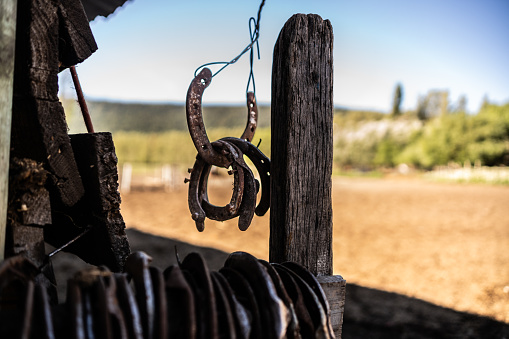 Close-up of horseshoes hanging outside the stable