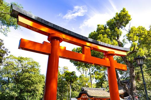 Kyoto, Japan - October 11, 2023: The famous orange Torii gates leading up the mountain trail in Fushimi Inari park, Kyoto, Japan.