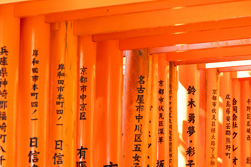 Kyoto, Japan - October 11, 2023: The famous orange Torii gates leading up the mountain trail in Fushimi Inari park, Kyoto, Japan.