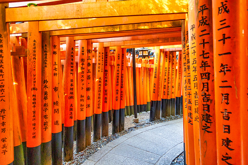Kyoto, Japan - October 11, 2023: The famous orange Torii gates leading up the mountain trail in Fushimi Inari park, Kyoto, Japan.