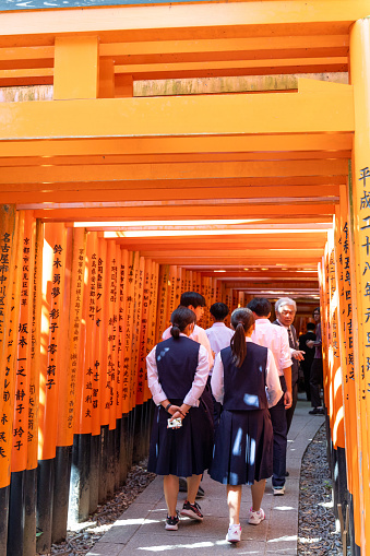 Kyoto, Japan - October 11, 2023: The famous orange Torii gates leading up the mountain trail in Fushimi Inari park, Kyoto, Japan.