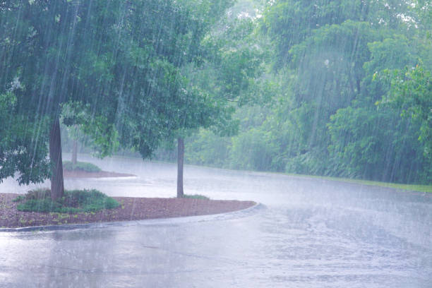 istock trees and heavy rain outdoor in summer thunderstorm 2073977535