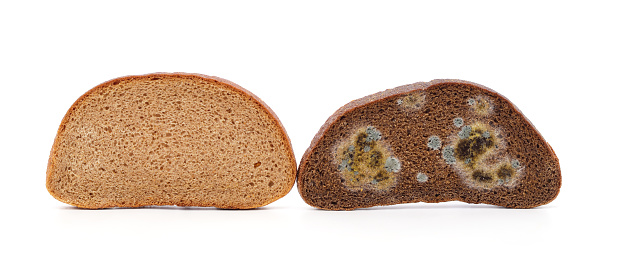 Pieces of fresh and moldy bread isolated on a white background.