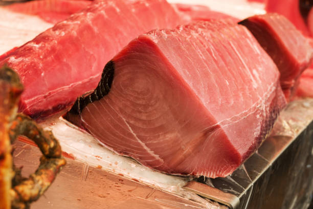 istock fish market with many different fresh fishes 2074029317