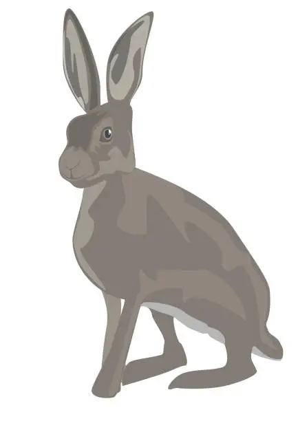 Vector illustration of an illustration of a hare