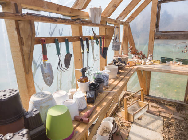 Gardening tools in garden shed