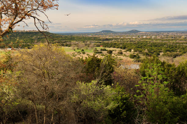A scenic overlook of the Texas Hill Country reveals a lush valley with patches of green fields and clusters of trees beginning to bloom. The horizon is marked by rolling hills under a partly cloudy sky, with a single bird soaring in the distance.