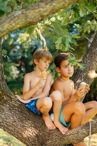 Children sitting in nature and refreshing them selfs with cone of ice cream