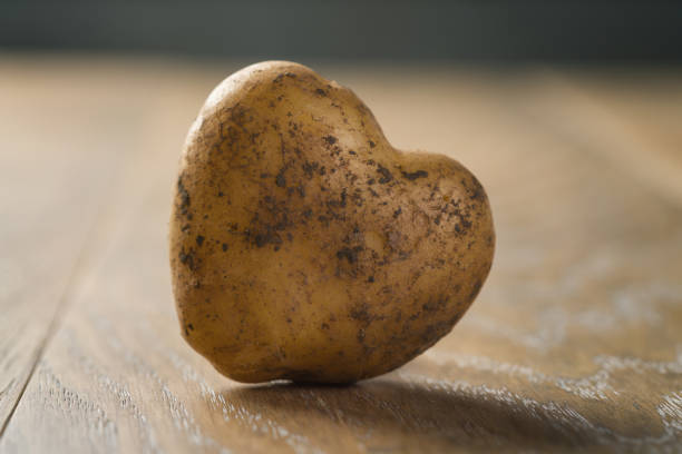 fresh raw heart shape potato on wood background, organic food