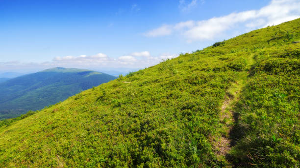 istock path trough hillside of carpathian mountains 2074217173