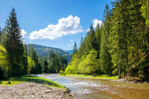 istock carpathian countryside scenery with tereblya river on a sunny day in spring 2074218773