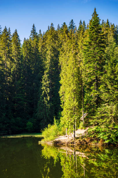 istock alpine lake synevyr in carpathian mountains 2074242584