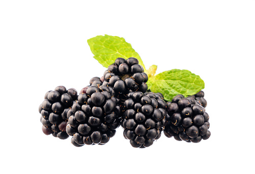 Group of ripe blackberries berries on white background closeup and green leaf for healthy eating