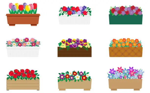 Vector illustration of Illustration set of cute red and purple flowers in a planter
