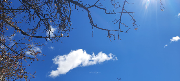 Enjoy the vibrant beauty of a cloudless, azure sky on a perfect, sun-kissed day. The brilliance of the blue expanse overhead sets the stage for a serene and uplifting atmosphere, inviting you to bask in the warmth and tranquility of nature's splendor.