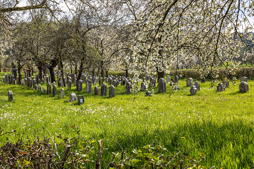 An old jewish cemetery at Hagenbach, Pretzfeld in Franconian Switzerland, Bavaria, Germany. Row of weathered sandstone tombstones on an abandoned rural Jewish cemetery.