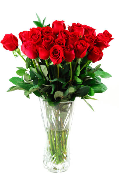 istock red roses in vase isolated on white background 2074367833