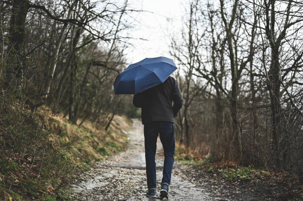 istock One person with umbrella walking in a wet forest. 2074390475