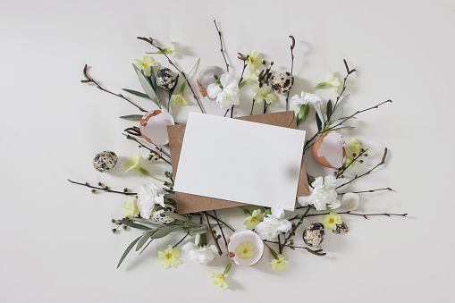 Spring greeting card, Easter invitation mockup. Primrose, white carnation flowers. Birch, olive tree branches, willow catkins twigs. Quail, hen eggs isolated on white table background, floral flat lay,