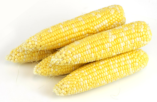 fresh raw corn cob isolated on white background