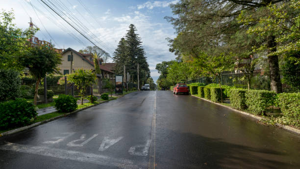 istock Tree-lined corridor on a rainy day in Gramado, Rio Grande do Sul 2074469303