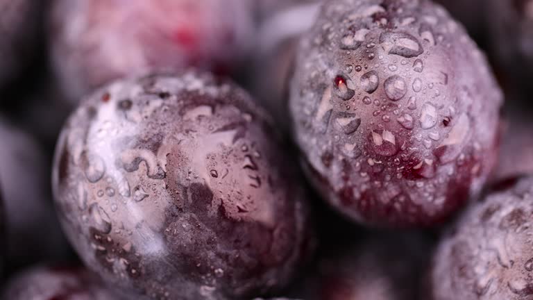 Wet purple plum on the table