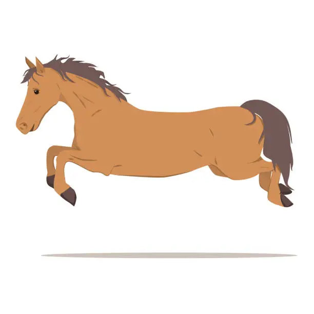 Vector illustration of vector illustration of a horse in a high jump. The theme of equestrian sports, training and animal husbandry. Isolated on a white background