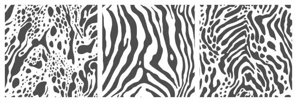 Vector illustration of Set of zebra skin pattern, seamless textures for design and print.