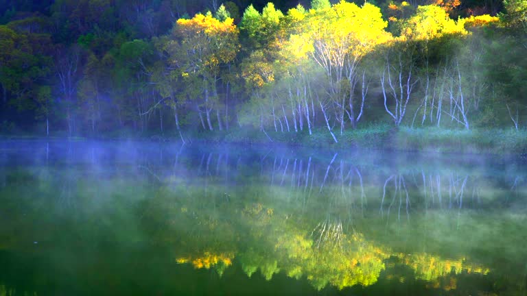 Kido-ike Pond in Autumn: Early Morning Sunlight Shining on the Mist and Foliage, Nagano Prefecture