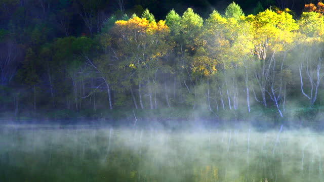 Kido-ike Pond in Autumn: Early Morning Sunlight Shining on the Mist and Foliage, Nagano Prefecture