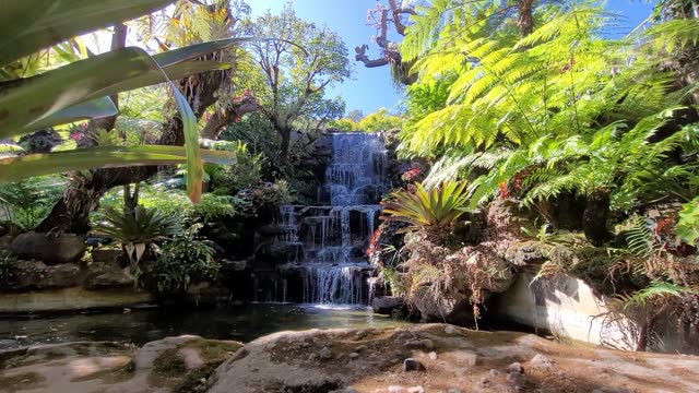 Tropical waterfall