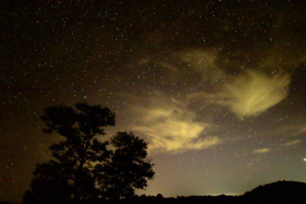 istock Silhouette of a tree with a starry sky and clouds in the background 2074739865