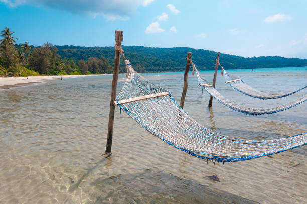 istock Hammock on the beach in summer 2074797771