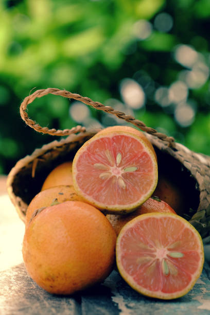 Isolated pink lemon fruit cut in half, kind of vitamin c fruit juice, natural medicine, organic lime in glass jar, basket on green background