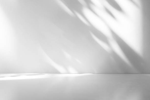 istock Wall interior background, studio and backdrops show products.with shadow from window color white . background for text insertion and presentation product 2074845176