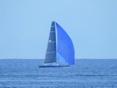 A yacht has deployed her spinnaker as she sails into Sydney Harbour with the background of the gap between North Head and South Head. This image was taken from Manly on a hot and sunny afternoon on 9 March 2024.