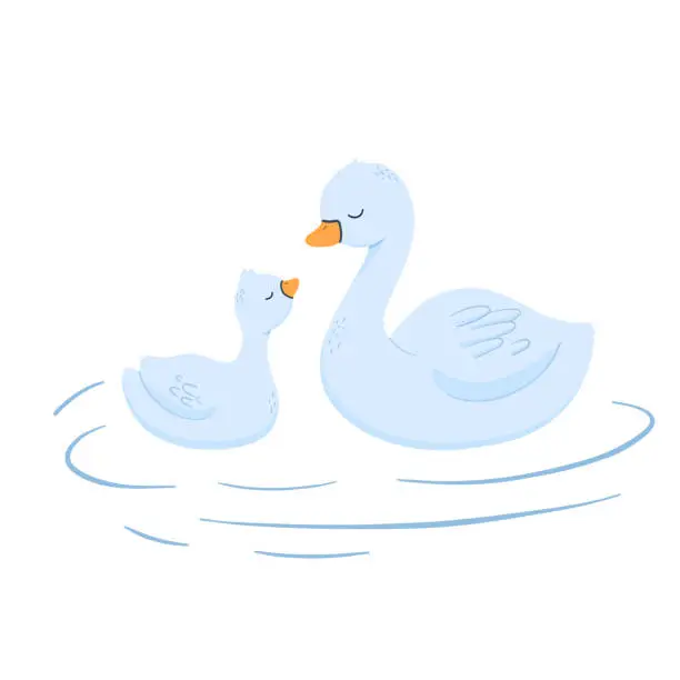 Vector illustration of Cute baby and mama Swan. Vector cartoon illustration for children. Duck family