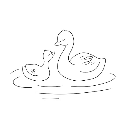 Cute baby and mama Swan. Black and white cartoon illustration for childish coloring book. Duck family